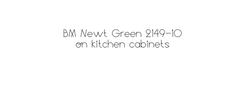 BM Newt Green 2149 10 on kitchen cabinets